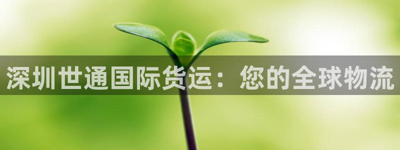 尊龙官方网站是真的吗：深圳世通国际货运：您的全球物流