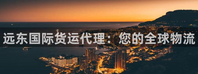 尊龙人生就是博官方官网：远东国际货运代理：您的全球物流