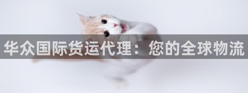 尊龙400：华众国际货运代理：您的全球物流