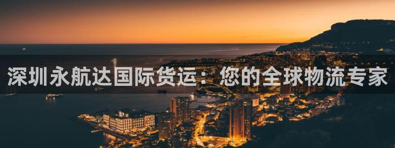 z6尊龙官网平台下载：深圳永航达国际货运：您的全球物流专