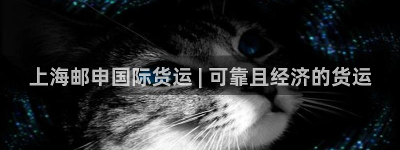 尊龙凯时ag旗舰：上海邮申国际货运 | 可靠且经济的货运
