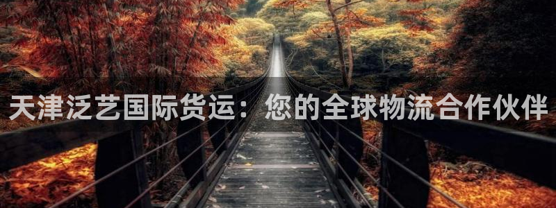尊龙人生就是博旧版现金娱乐一下：天津泛艺国际货运：您的全