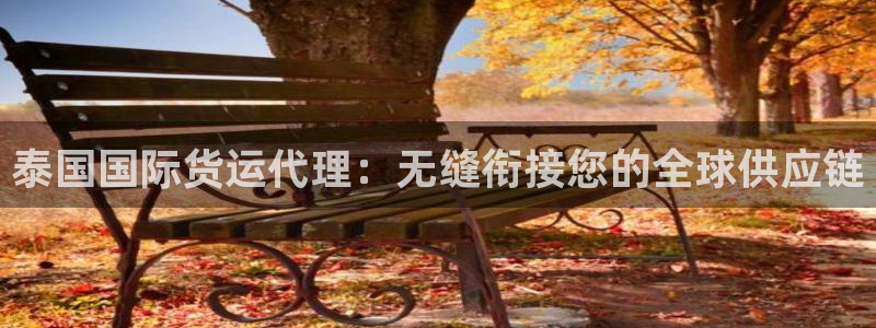 尊龙网站 人生就是博：泰国国际货运代理：无缝衔接您的全球