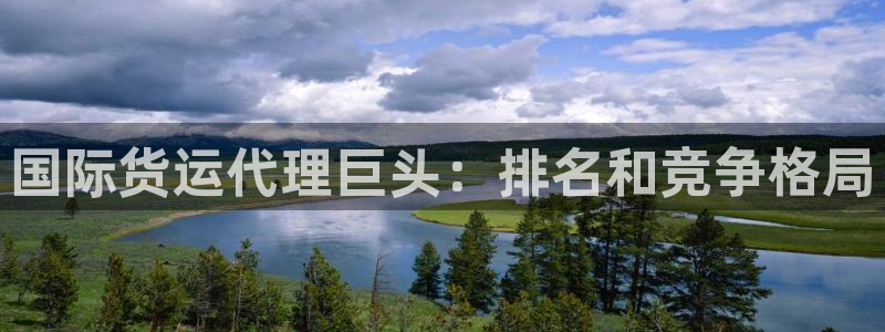 尊龙ag旗舰厅登陆：国际货运代理巨头：排名和竞争格局