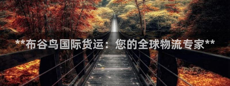 尊龙人品怎么样：**布谷鸟国际货运：您的全球物流专家**