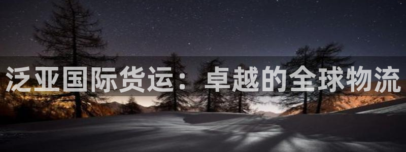尊龙凯时始人生就是博：泛亚国际货运：卓越的全球物流