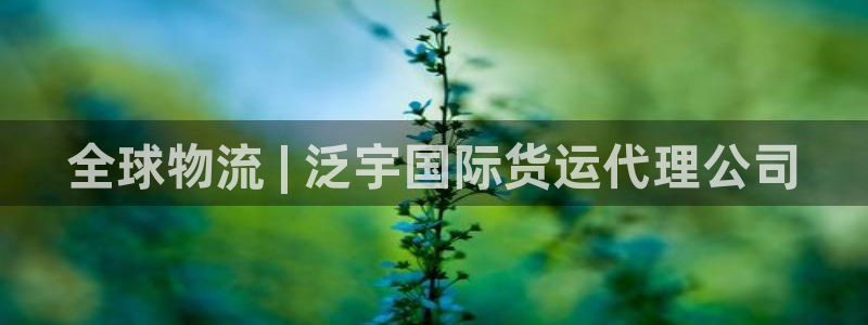 尊龙凯时平台官网：全球物流 | 泛宇国际货运代理公司