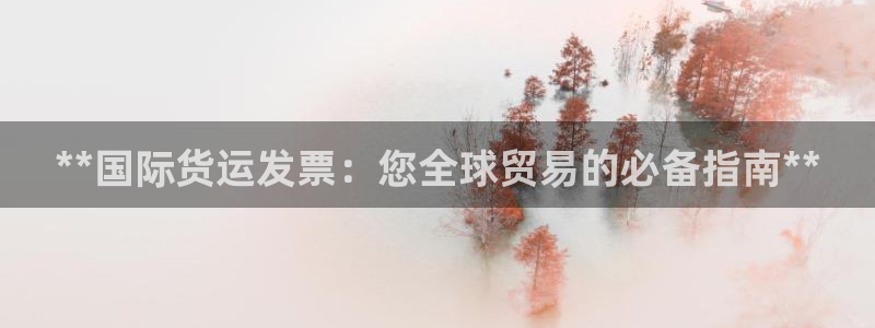 尊龙实业有限公司是正规还是仿：**国际货运发票：您全球贸