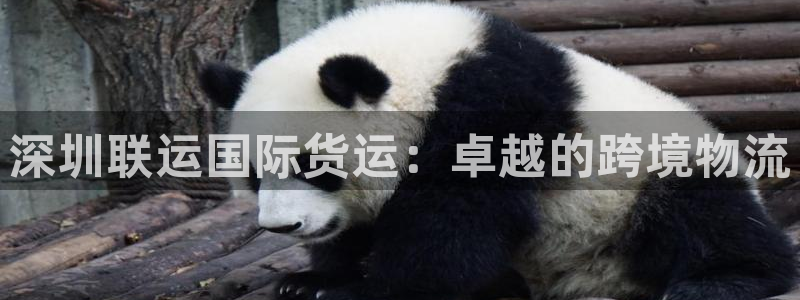 尊龙凯时几百万怎么下：深圳联运国际货运：卓越的跨境物流