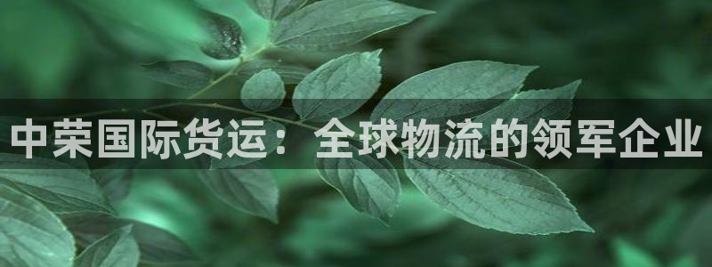 尊龙凯时人生就是搏z6com：中荣国际货运：全球物流的领