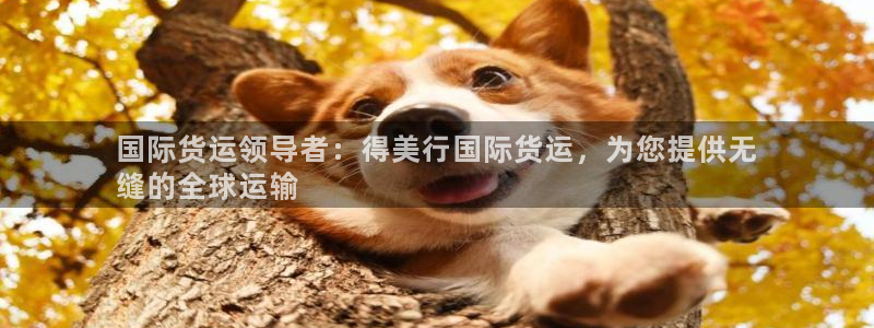尊龙凯时人生就是搏技术实力：国际货运领导者：得美行国际货