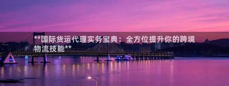 尊龙ag：**国际货运代理实务宝典：全方位提升你的跨境
