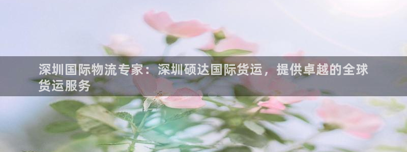 尊龙t600怎么样：深圳国际物流专家：深圳硕达国际货运，