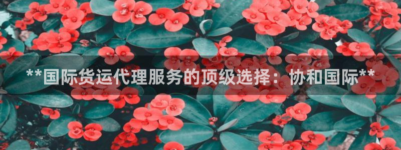 尊龙人生就是博手机版下载：**国际货运代理服务的顶级选择