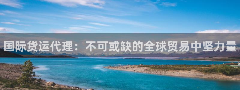 尊龙凯时台子：国际货运代理：不可或缺的全球贸易中坚力量