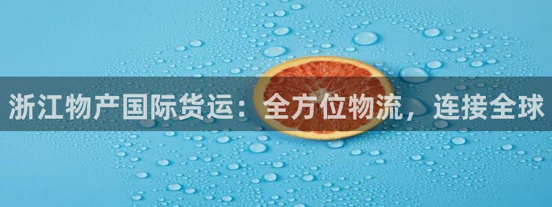尊龙人品怎么样：浙江物产国际货运：全方位物流，连接全球