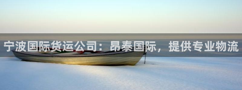 尊龙,人生就是搏：宁波国际货运公司：昂泰国际，提供专业物