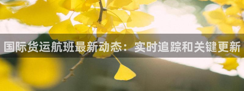 尊龙凯时d5138：国际货运航班最新动态：实时追踪和关键