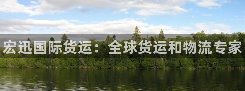 尊龙集团有限公司招聘：宏迅国际货运：全球货运和物流专家