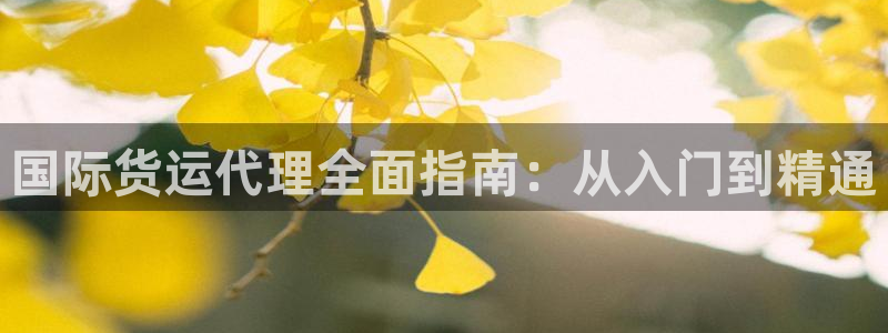 尊龙凯时人生就是搏官：国际货运代理全面指南：从入门到精通