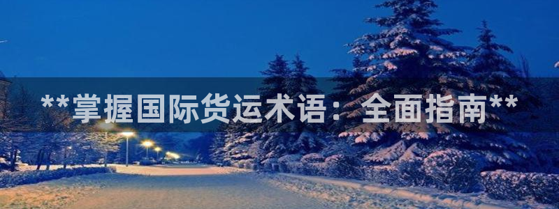 尊龙d88手机版下载：**掌握国际货运术语：全面指南**