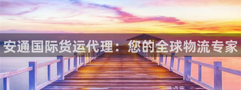 尊龙凯时有封银行卡的吗：安通国际货运代理：您的全球物流专