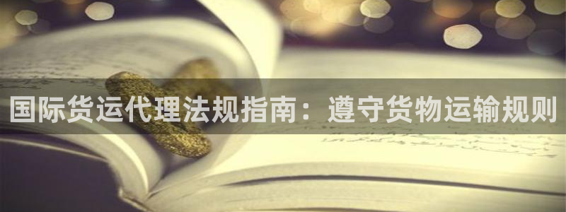 尊龙人生就是博旧版现金娱乐一下：国际货运代理法规指南：遵