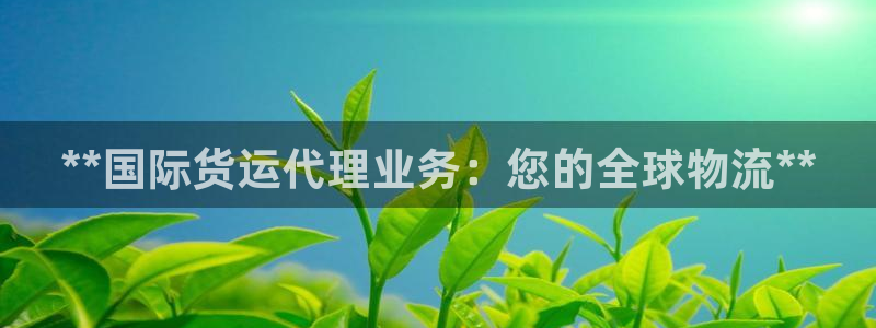 尊龙凯时有没有出不了款的情况：**国际货运代理业务：您的