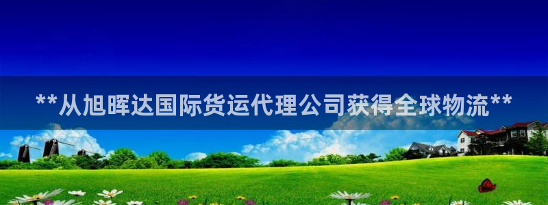 尊龙用现金一下可靠送38元：**从旭晖达国际货运代理公司