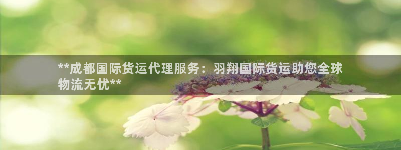 尊龙人生就是博中国区：**成都国际货运代理服务：羽翔国际
