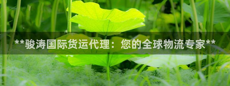 尊龙人生就是搏：**骏涛国际货运代理：您的全球物流专家*