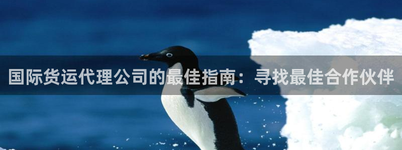 尊龙d88官网登录下载：国际货运代理公司的最佳指南：寻找