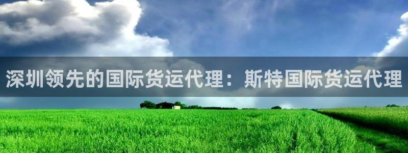 尊龙凯时app安装：深圳领先的国际货运代理：斯特国际货运