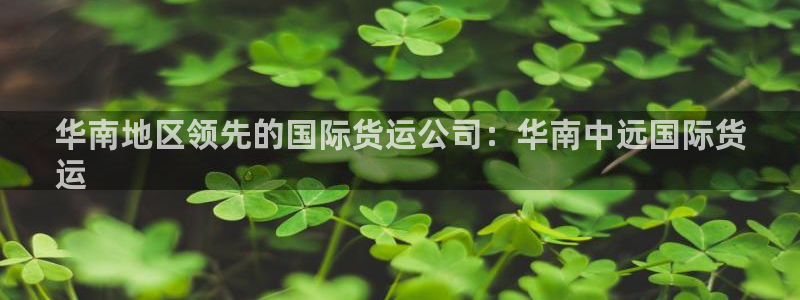 尊龙凯时平台不给出款怎么办：华南地区领先的国际货运公司：