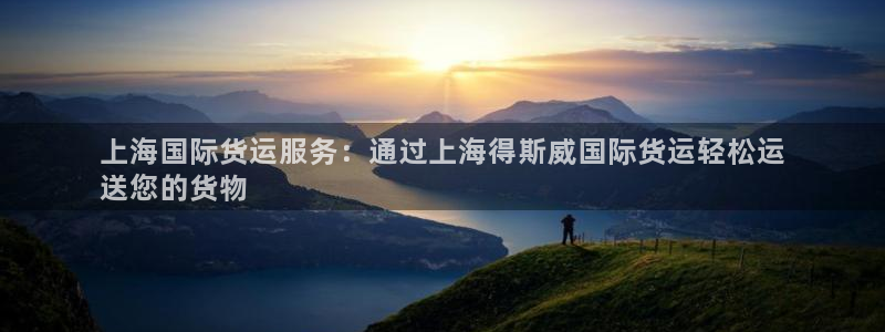 尊龙官方app下载：上海国际货运服务：通过上海得斯威国际