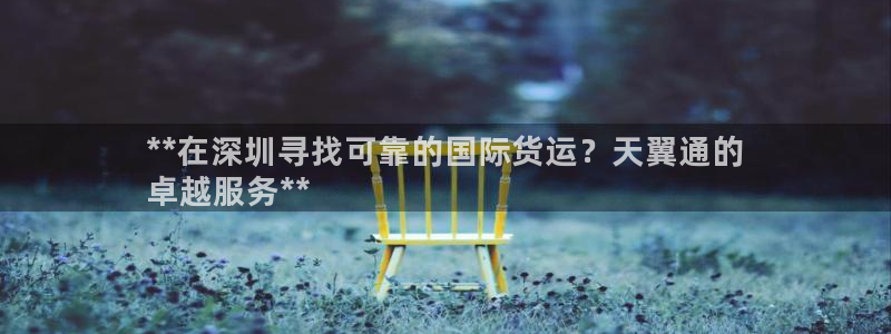 尊龙凯时泰安：**在深圳寻找可靠的国际货运？天翼通的
卓