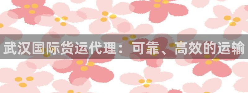 尊龙凯时提不了款：武汉国际货运代理：可靠、高效的运输