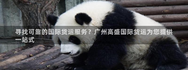 尊龙凯时-人生就是博中国官网：寻找可靠的国际货运服务？广