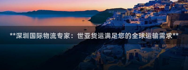 尊龙d88平台版下载：**深圳国际物流专家：世亚货运满足