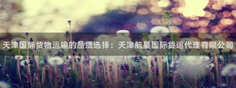 尊龙凯时官网：天津国际货物运输的品质选择：天津航星国际货