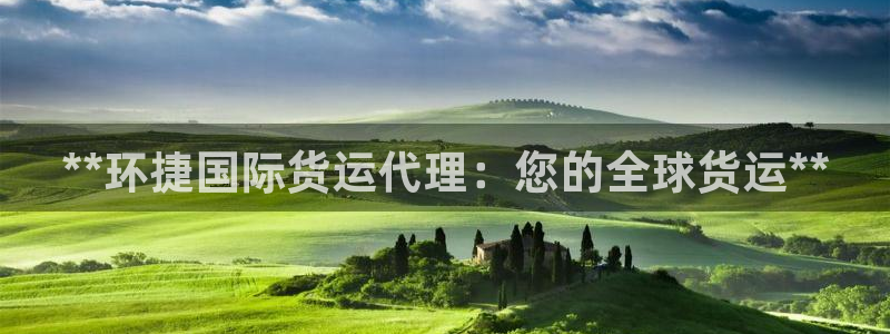 尊龙手机客户端app：**环捷国际货运代理：您的全球货运