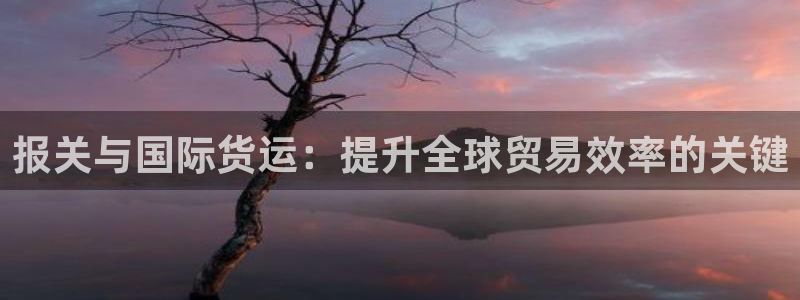 尊龙集团官网：报关与国际货运：提升全球贸易效率的关键