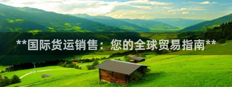 尊龙t600：**国际货运销售：您的全球贸易指南**