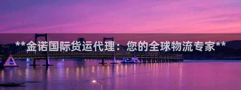 尊龙凯时为什么不封：**金诺国际货运代理：您的全球物流专