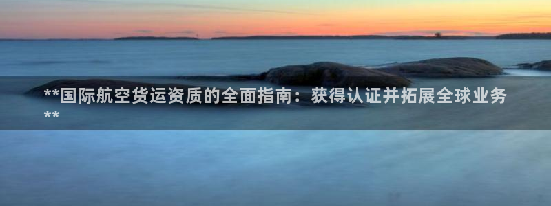 尊龙软件下载：**国际航空货运资质的全面指南：获得认证并