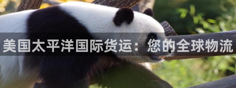 尊龙d88官网可靠送38元：美国太平洋国际货运：您的全球