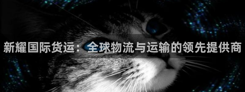 尊龙凯时 人生就是搏：新耀国际货运：全球物流与运输的领先