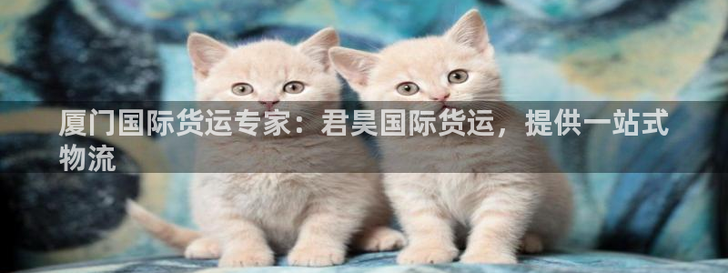 尊龙t200：厦门国际货运专家：君昊国际货运，提供一站式