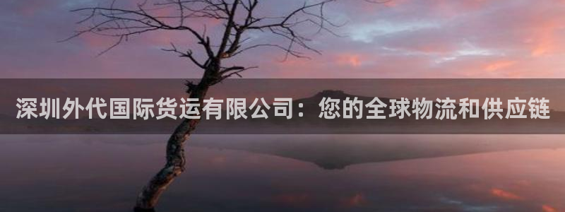 z6尊龙凯时集团：深圳外代国际货运有限公司：您的全球物流