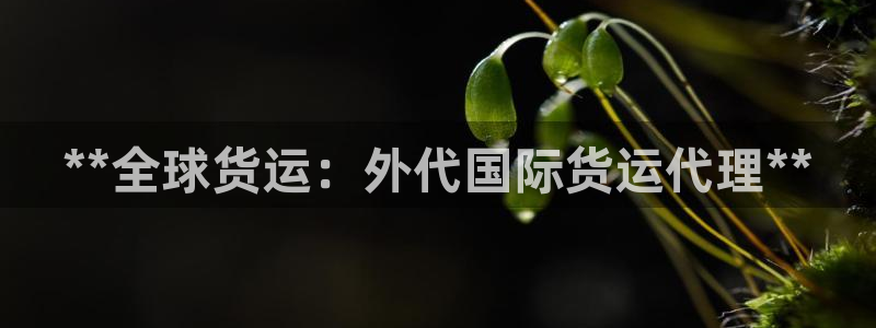 Z6尊龙凯时登录：**全球货运：外代国际货运代理**